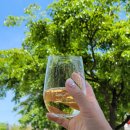 호야 구판장 이미지