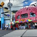 중앙동236 이미지