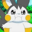 옆집강아지 이미지