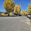 전라병영성 하멜기념관 | 무료관람, 전남 강진 병영성과 하멜기념관 방문 후기(ft. 와이크 스탬프투어)