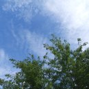 고래들공원 이미지