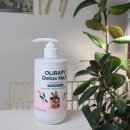 올리라피 이미지