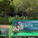 빅바오(안심점) | 상하이 로맨스 🇨🇳