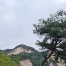 수힐링타운 이미지