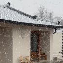 스테이 띠앗 이미지