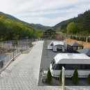 내를 건너서 숲으로 캠핑장 이미지