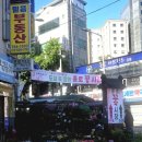 종로시장 | 종로 꽃시장 후기｜어버이날 호접란 가격 좋았던 서울 꽃시장 추천 🌸