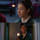 뿌리깊은 나무 이미지