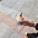 광장동수제모찌 오산세교 이미지