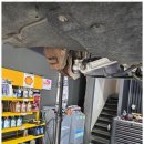 블루디젤모터스 이미지