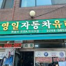 영일차유리 이미지