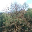 영모재 | 충북 영동 영모재(조상의 은덕을 사모하다)