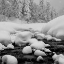 일본어(실용) 이미지