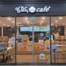 덕정역 | [양주/경기] 덕정 답례품 추천 앙호두 덕정역점 포장 후기 feat. 9가지 맛 호두과자 선물