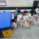 푸른경희태권도장 이미지