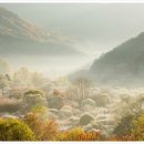 비밀의정원 이미지