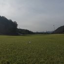 모나크cc 이미지