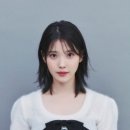 겸