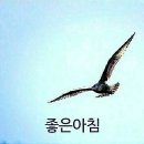 낭만에대하여 Daum카페