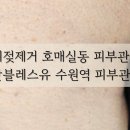 닷블레스유