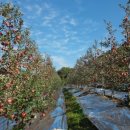 건호농장 이미지