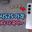 갤럭시 S25 울트라 200만원 시대? 폰 가격 절망적인 이유 | 가격 상승의 원인 | 엑시노스! 이미지