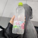 세븐일레븐(김해어방본점) | 비수기 1박 2일 교토 여행 후기(10월 28,29일)