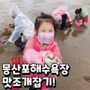 몽산포파인 | 몽산포해수욕장 파인펜션 맛조개 잡고 온 후기