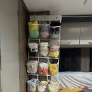 홍천카서비스 | 아기와 홍천 코코비발디 카라반캠핑 글램핑장 이용후기