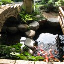 갑을식당 이미지