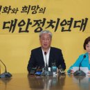 평화당 이미지