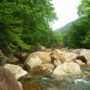 세석가는길 이미지