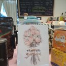 메라빌리아 이미지