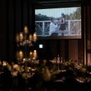 니모메플라워 | Wedding (1) 🪽
