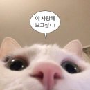 성환천 | 왓츠인마이 옌 블로그