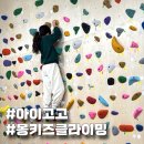 고고 | 몽키즈클라이밍 인천아라점 원데이클래스 아이고고 예약 후기
