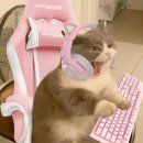 킵플레잉 | [친구돈산] 너네는... 이런 친구 있니? 로지텍 Logitech PRO X2 SUPERSTRIKE 주는 친구. 게이밍마우스의...