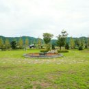 양구 나비야 이미지