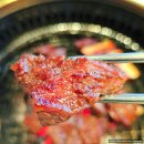 송추가마골 미사지점 | 하남 미사 고기 맛집 송추가마골 후기