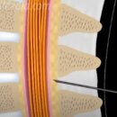 신통신경과의원 이미지