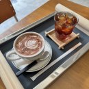 양말코히 이미지