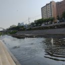 불광천6 이미지