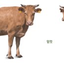 국립축산과학원 가축유전자원센터 이미지