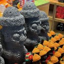 사계올레 이미지