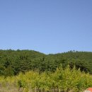 장모집식당 이미지