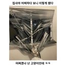 혼타코 | 블챌 4 / 생일