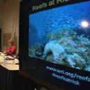 [VOA 영어뉴스] Report : 75 Percent of World's Coral Reefs Threatened 이미지