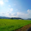 고맛나루공주시농협쌀조합공동사업법인 이미지