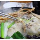 이창노녹두삼계탕메기매운탕 네이버블로그