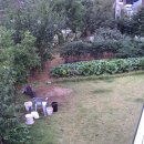 장진천길 이미지